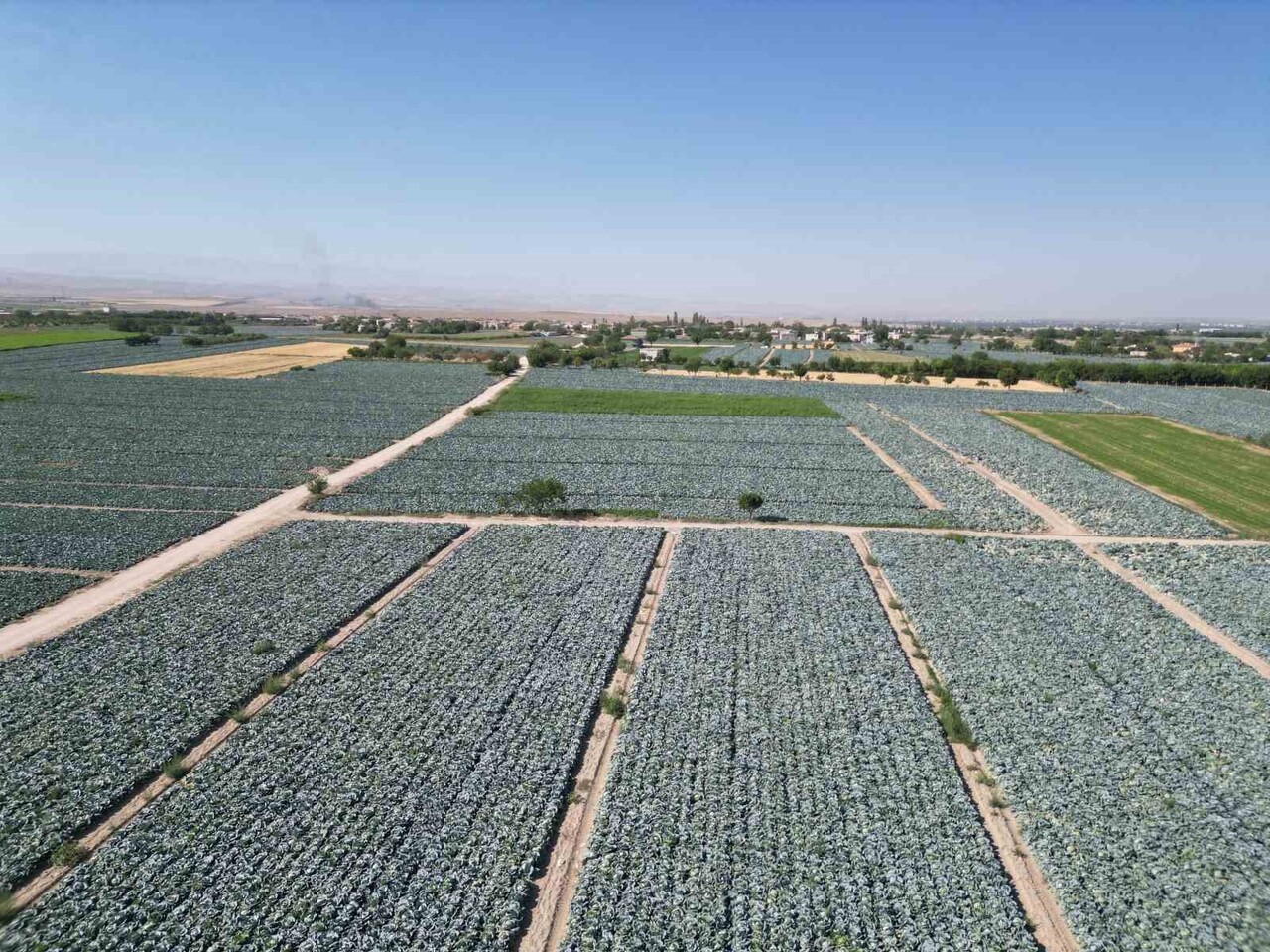 NİĞDE TARIM VE ORMAN MÜDÜRLÜĞÜ, ÜRETİMDEN TÜKETİME UZANAN GIDA ZİNCİRİNDE GÜVENİLİRLİĞİ EN ÜST...