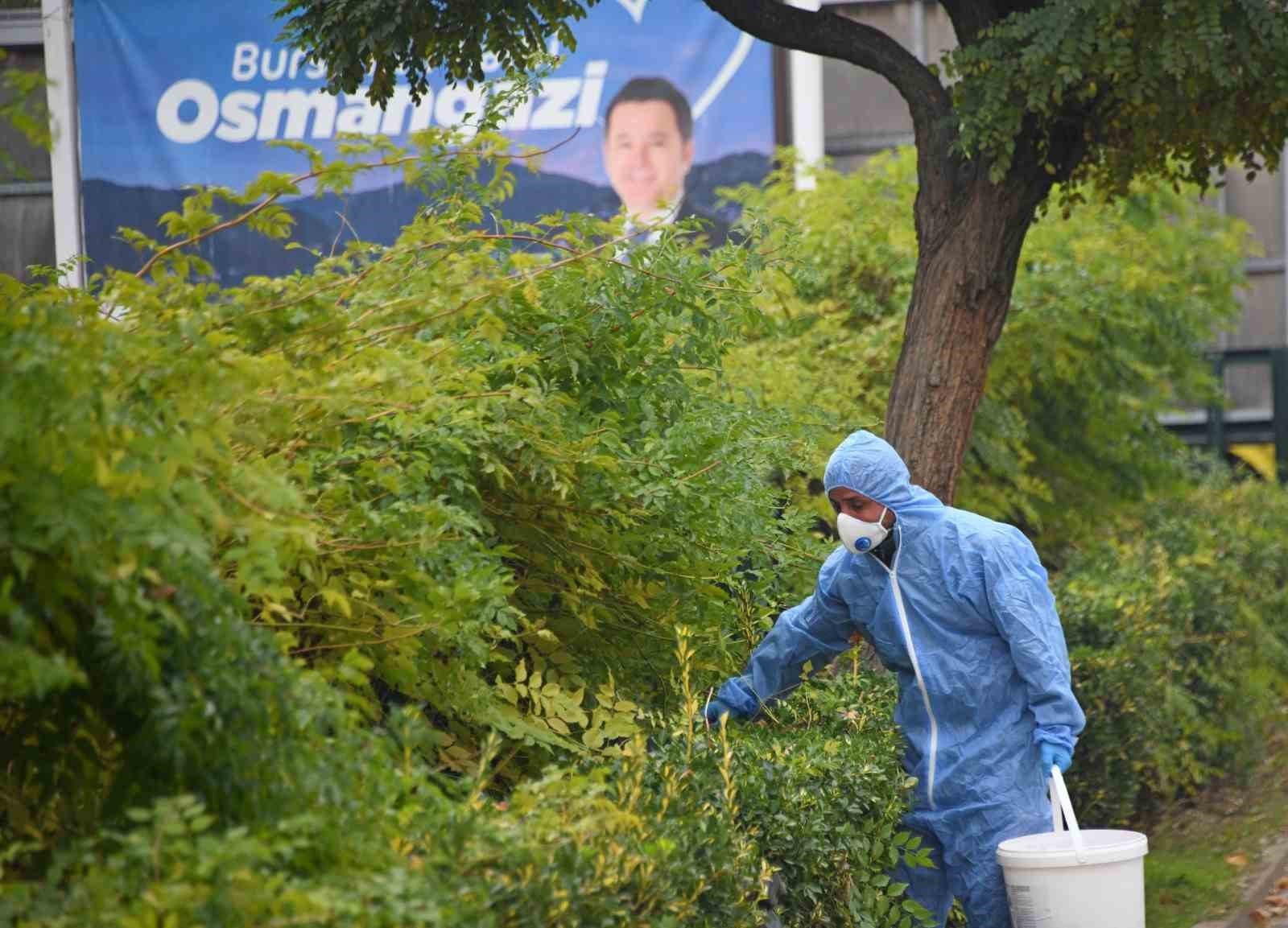 OSMANGAZİ BELEDİYESİ, HALK SAĞLIĞINI TEHDİT EDEN KEMİRGENLERLE MÜCADELE KAPSAMINDA İLÇE GENELİNDE...