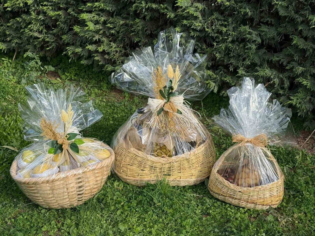 PAPA 14. LEO’YA İZNİK ZİYARETİ SIRASINDA BURSA’NIN COĞRAFİ İŞARETLİ ZEYTİN, KESTANE VE ARMUDUNDAN...