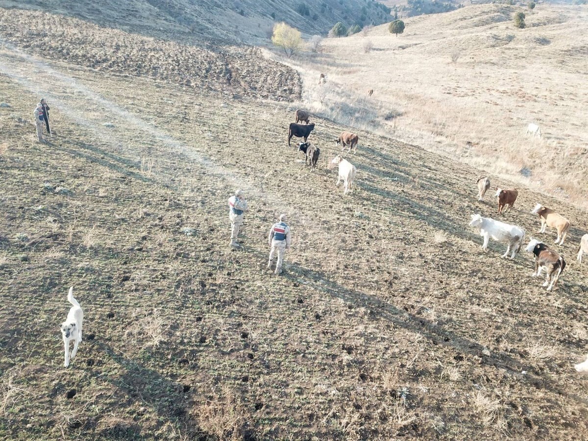 REFAHİYE'DE KAYBOLAN HAYVANLAR BULUNARAK SAHİBİNE TESLİM EDİLDİ