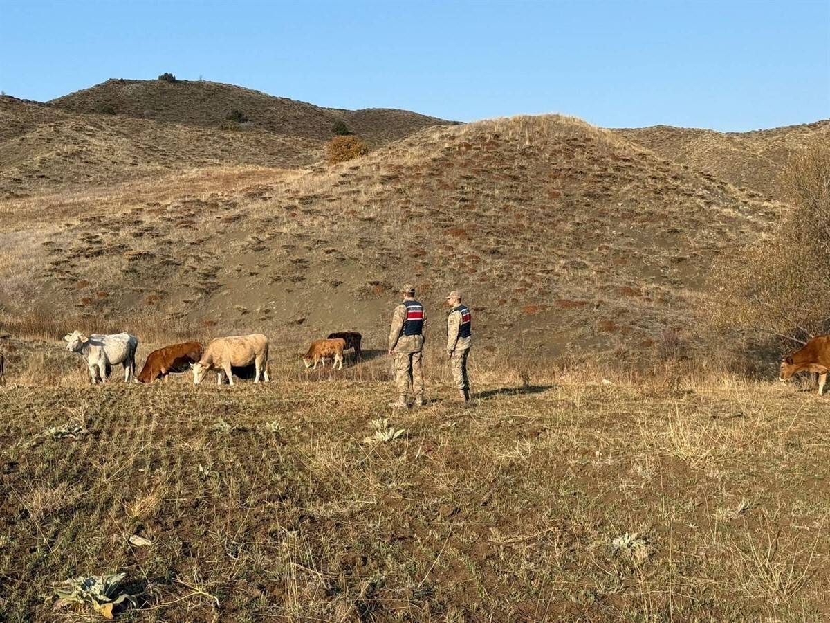 REFAHİYE'DE KAYBOLAN HAYVANLAR BULUNARAK SAHİBİNE TESLİM EDİLDİ