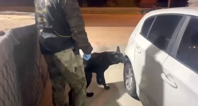 SAMSUN’DA POLİS EKİPLERİNCE DURDURULAN ARAÇTA, NARKOTİK DEDEKTÖR KÖPEĞİ TONY’NİN TEPKİ VERMESİ...