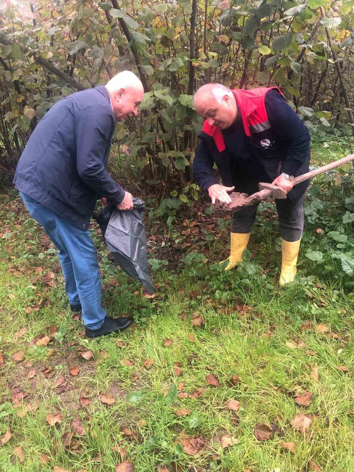 SAMSUN’UN ÇARŞAMBA İLÇESİNDE TOPRAK ALTINDA KÖKLERE ZARAR VEREN VE AĞAÇ GELİŞİMİNİ OLUMSUZ...