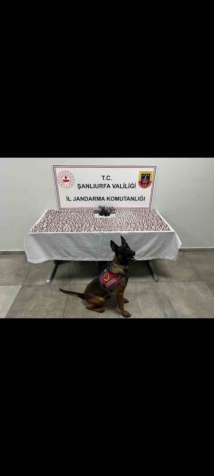 ŞANLIURFA’DA UYUŞTURUCU OPERASYONU: 2 GÖZALTI