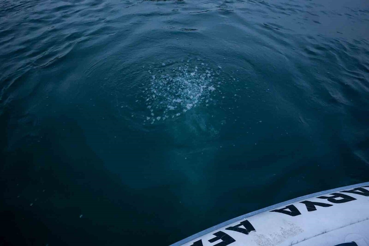 SAPANCA GÖLÜ'NDE OLUŞAN KABARCIKLAR VATANDAŞI ENDİŞEYE SÜRÜKLÜYOR.