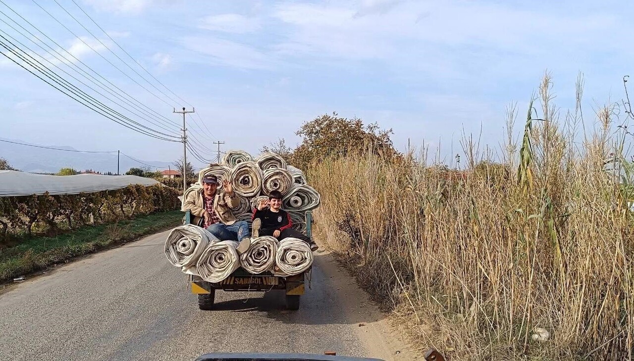 SARIGÖL VE ÇEVRESİNDE HASADI TAMAMLANAN ÜZÜM BAĞLARINDA, ÖRTÜ ALTI BAĞLARDA KULLANILAN BEYAZ...