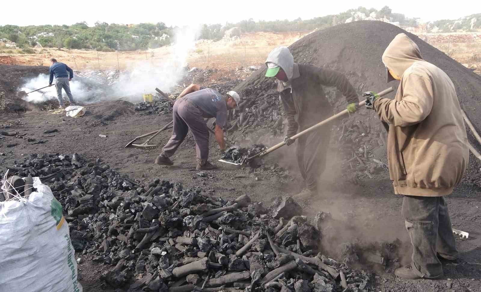 SİLİFKE İLÇESİNDE YAŞAYAN SARAÇ AİLESİ, TOROS DAĞLARININ ETEĞİNDE MEŞE AĞAÇLARINDAN ELDE ETTİKLERİ...