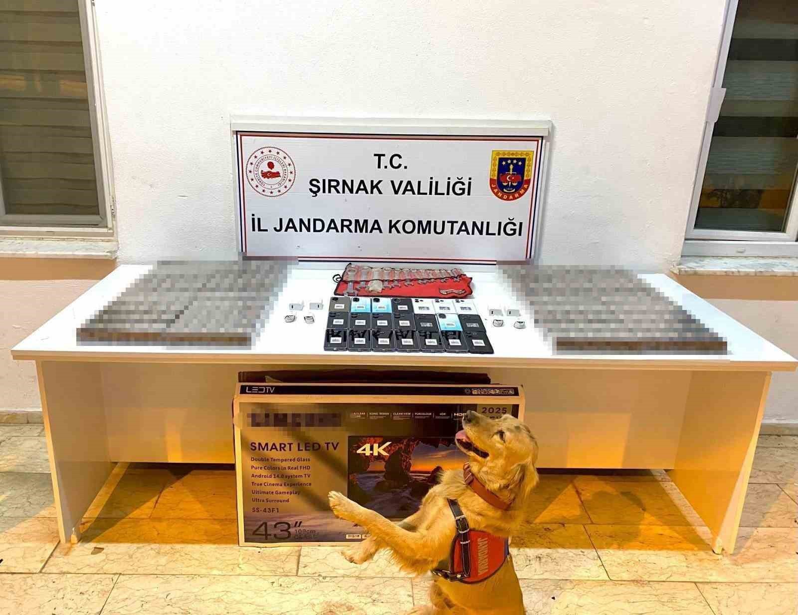 ŞIRNAK İL JANDARMA KOMUTANLIĞI EKİPLERİNCE 3-9 KASIM 2025 TARİHLERİ ARASINDA YÜRÜTÜLEN KAÇAKÇILIK...