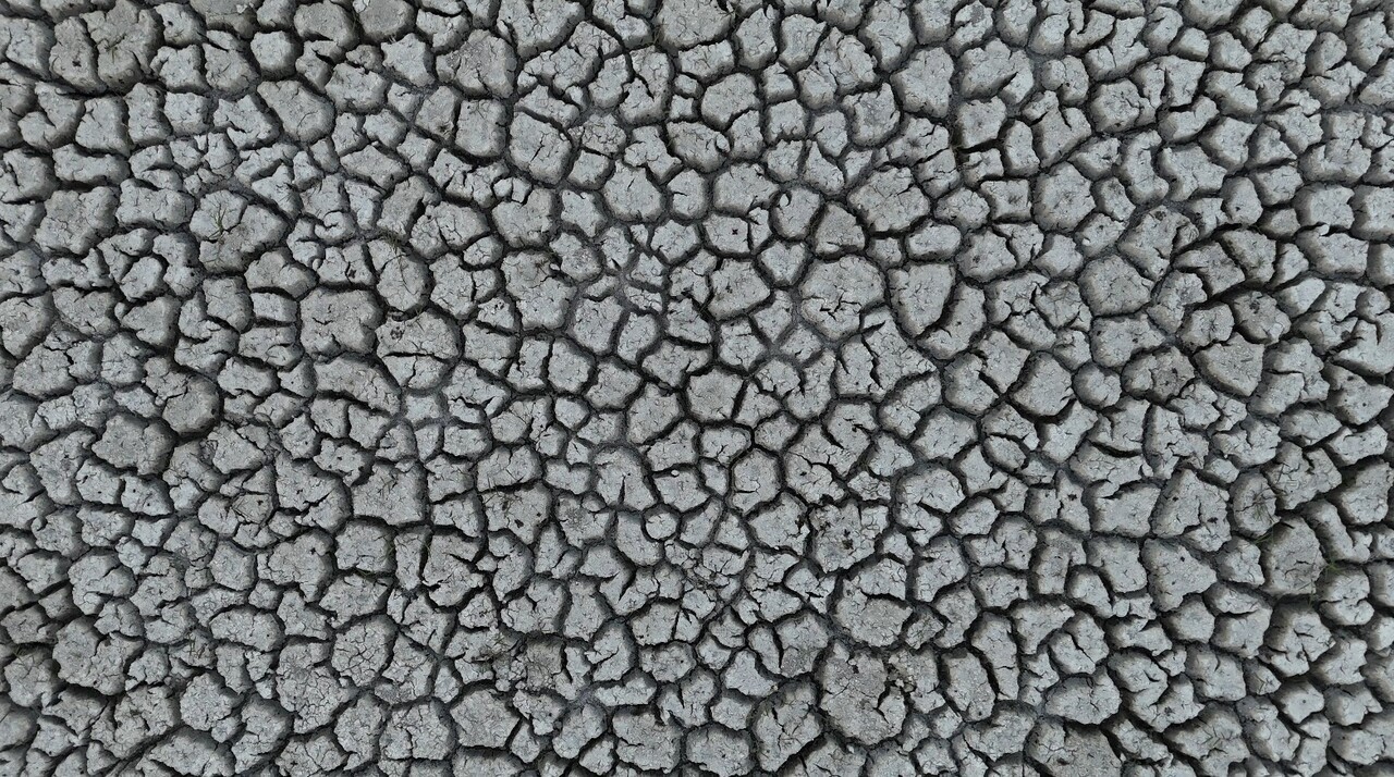 SİSMOLOJİ BÖLÜMÜ ÖĞRETİM ÜYESİ PROF. DR. ŞAKİR ŞAHİN, EĞİRDİR'DE BİR ELMA BAHÇESİNDE OLUŞAN...