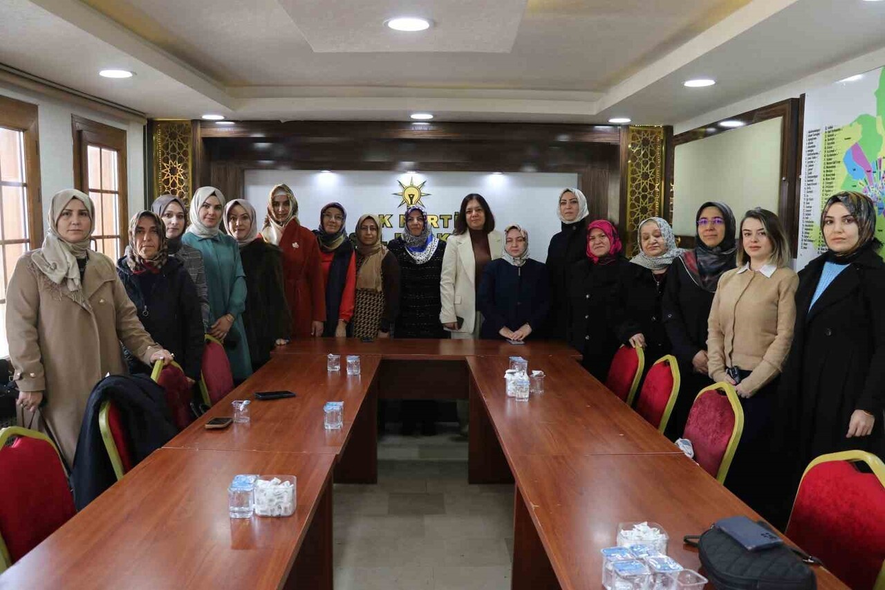 SİVAS AK PARTİ KADIN KOLLARI, 25 KASIM DÜNYA KADINA ŞİDDETLE MÜCADELE GÜNÜ KAPSAMINDA BASIN...