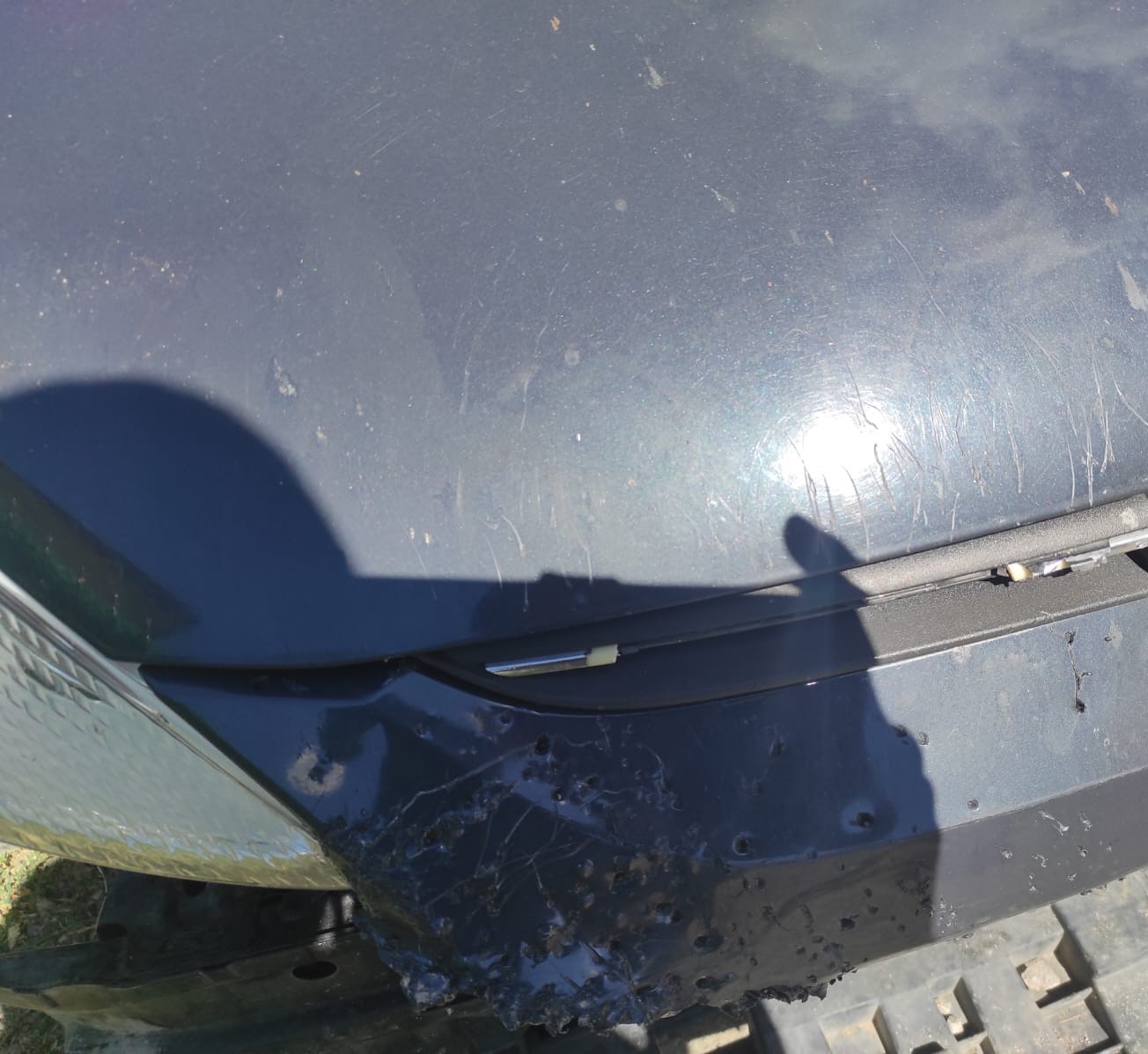 SİVAS’TA BAŞIBOŞ SOKAK KÖPEKLERİ, PARK HALİNDEKİ OTOMOBİLE ZARAR VERDİ. 108 BİN TL’LİK HASAR...