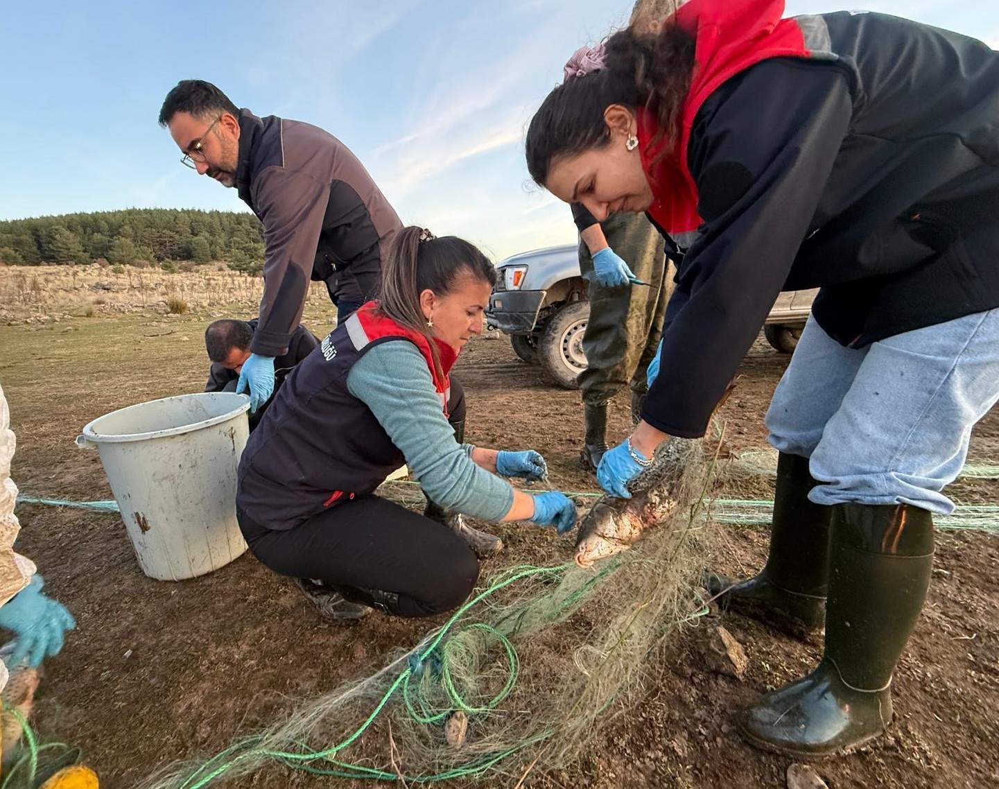 TAŞLIYAYLA GÖLETİ’NDE 5 KİLOMETRE UZUNLUĞUNDA HAYALET AĞ TOPLANDI. AĞDAN KURTARILAN 500 BALIKTAN...