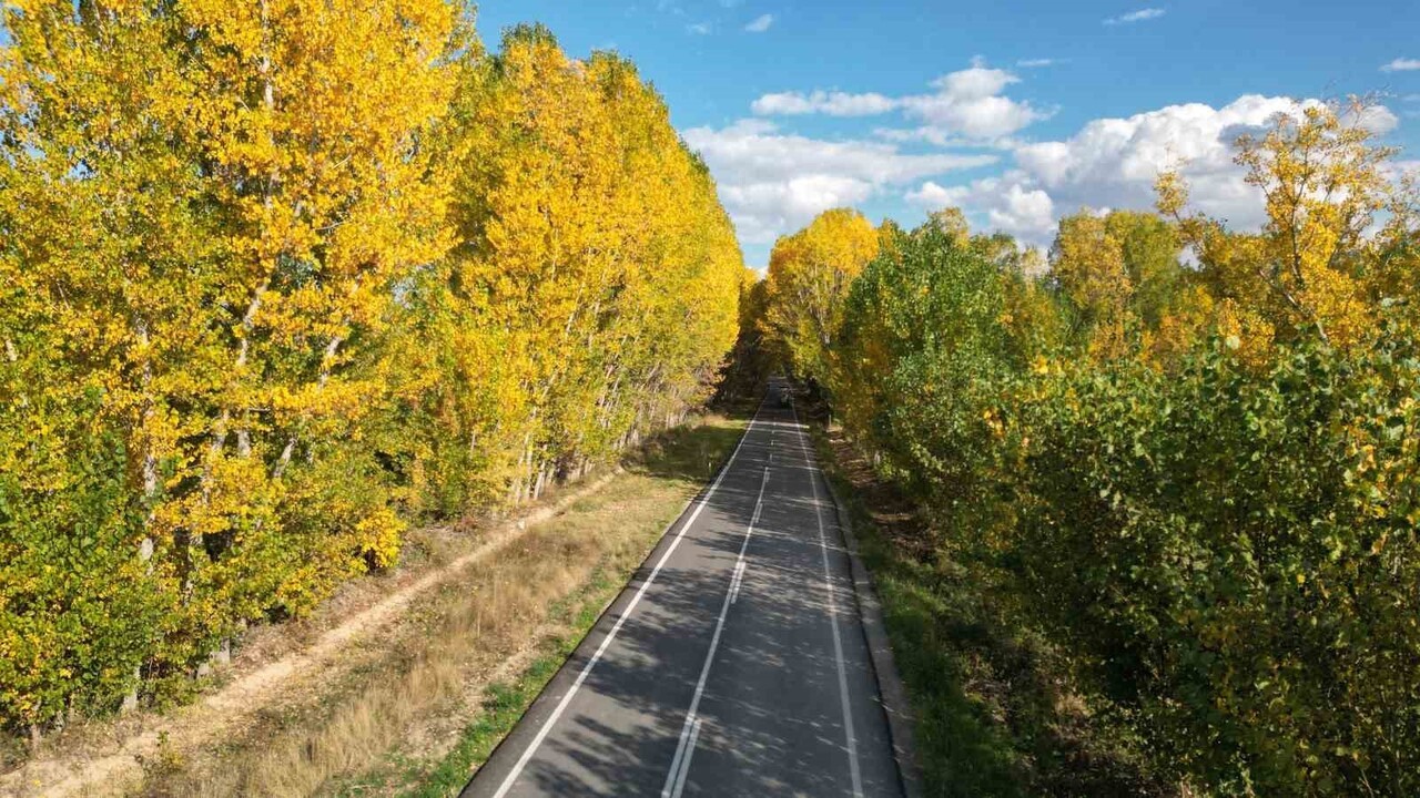 TOKAT'TA BELEDİYENİN SONBAHAR YAPRAKLARINI TEMİZLEMEME KARARIYLA PARK VE BAHÇELERDE OLUŞAN RENK...