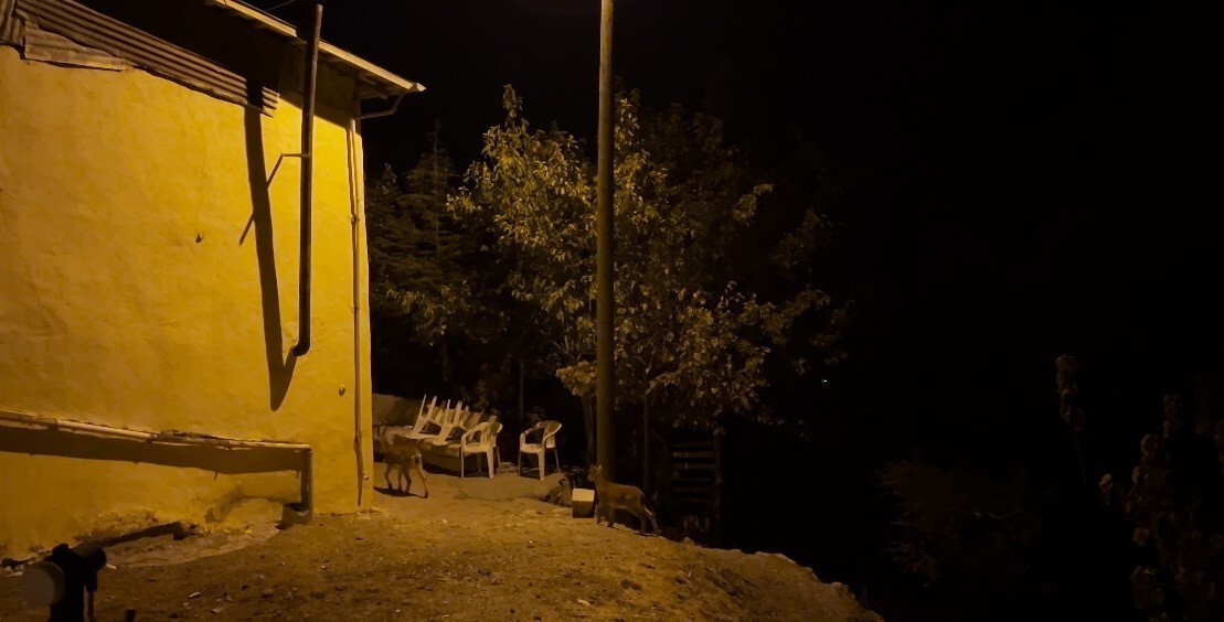 TUNCELİ’DE, DÜNYA DOĞA KORUMA BİRLİĞİNCE (IUCN) YAYIMLANAN ’NESLİ TÜKENME TEHLİKESİ ALTINDA OLAN...