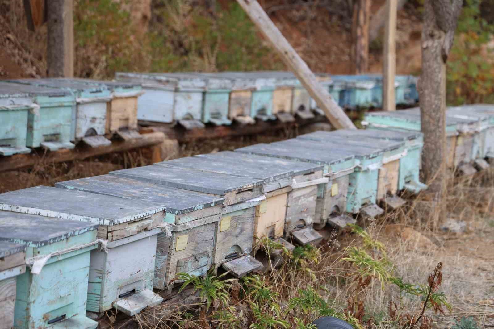 UZMANLAR, SICAKLIKLARIN DÜŞMEDİĞİ İÇİN BUGÜN KADAR KOVANA GİRMESİ BEKLENEN ARILARIN GİRMEDİĞİNİ...