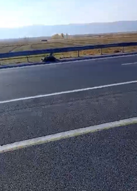 VAN’DA KARA YOLUNA ÇIKARKEN ARAÇ ÇARPAN AYI TELEF OLDU.