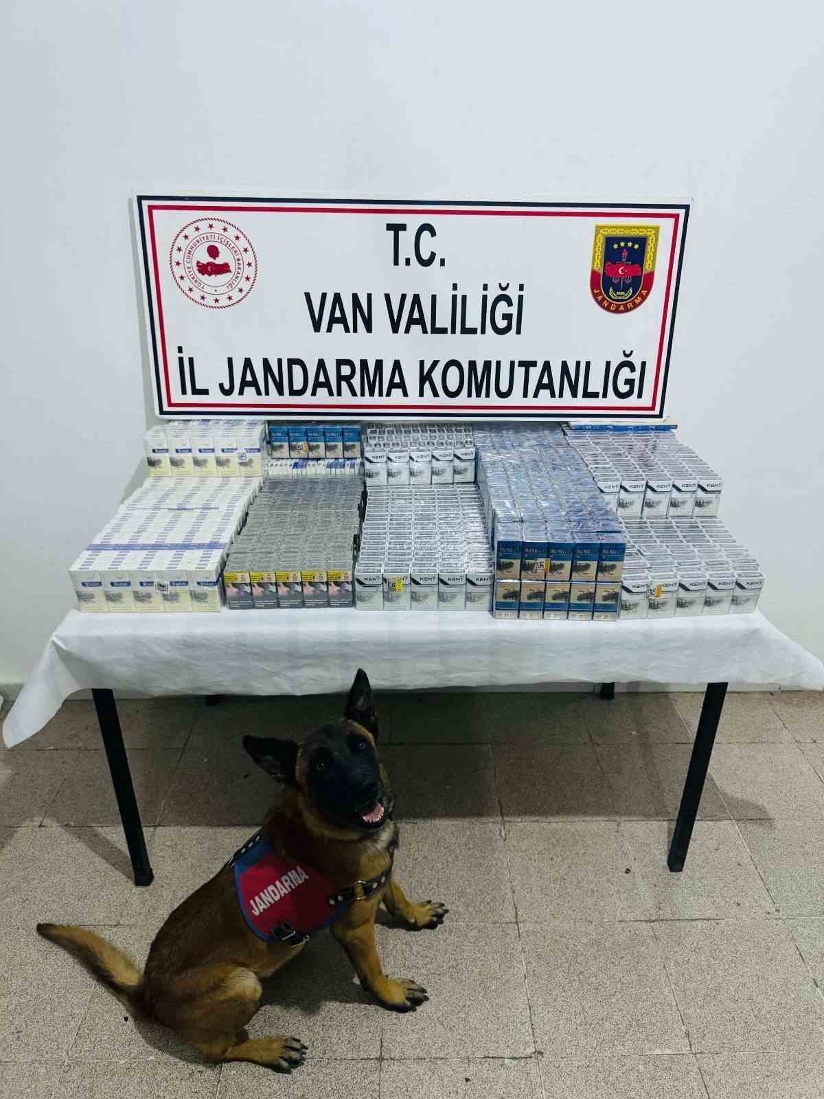 VAN’IN BAŞKALE VE ÖZALP İLÇELERİNDE JANDARMA EKİPLERİNCE YÜRÜTÜLEN ÇALIŞMALAR SONUCUNDA 3 BİN 75...