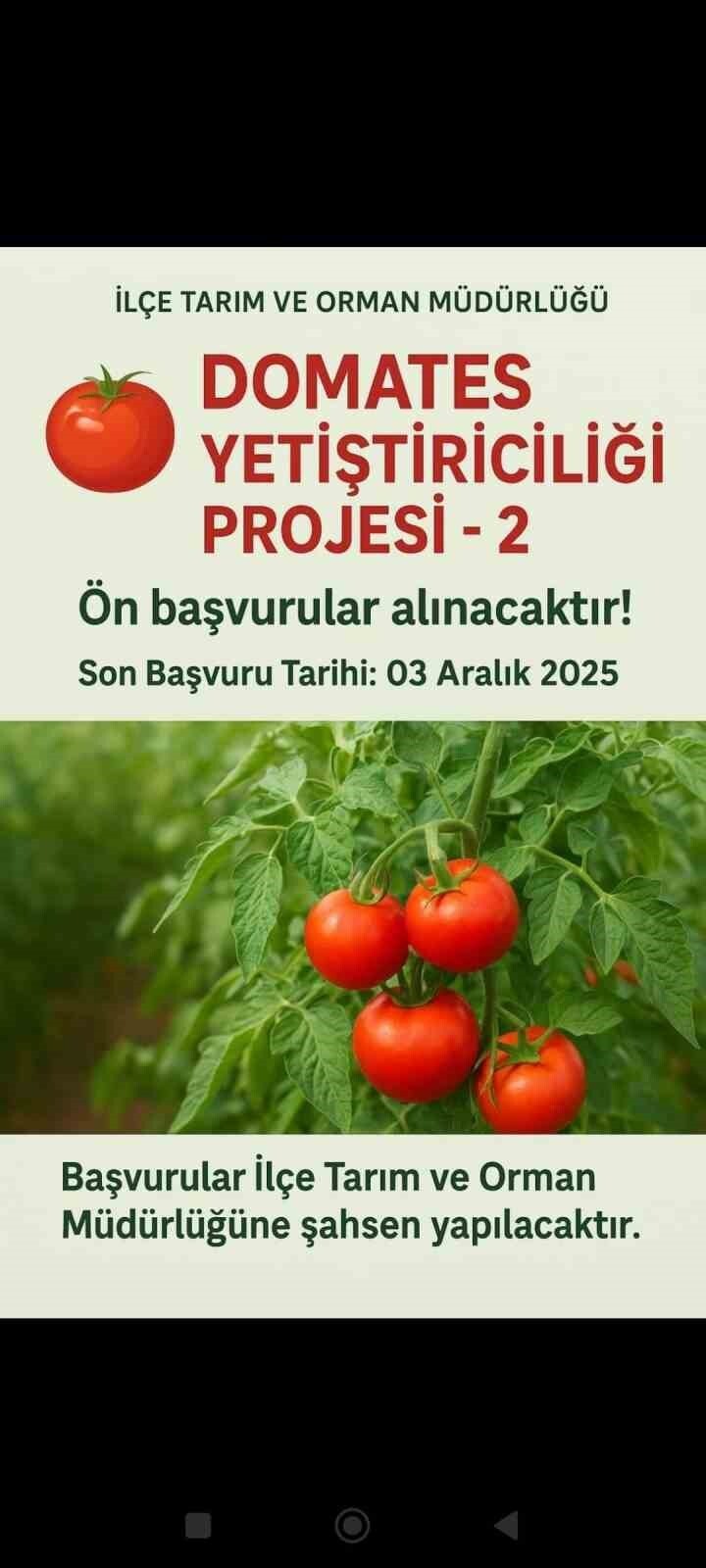 VAN’IN MURADİYE İLÇE TARIM VE ORMAN MÜDÜRLÜĞÜ TARAFINDAN YÜRÜTÜLEN “DOMATES YETİŞTİRİCİLİĞİ”...