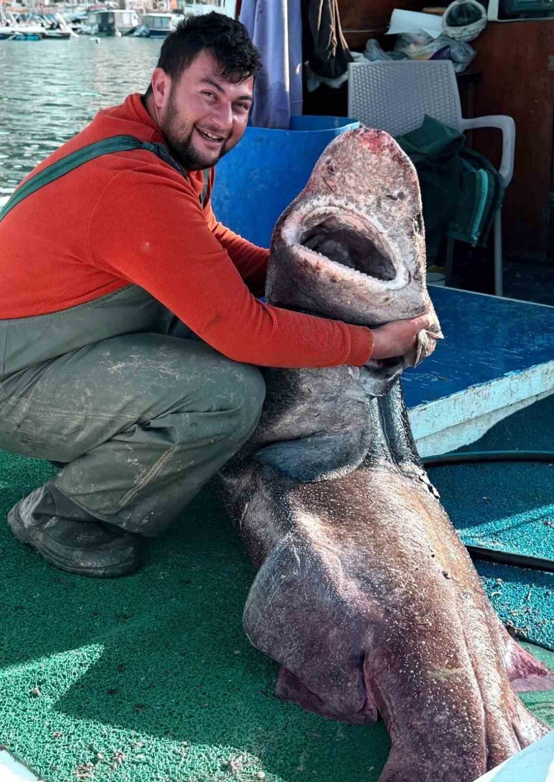 YALOVA AÇIKLARINDA BİR BALIKÇININ AĞINA 4 METRE UZUNLUĞUNDA VE YAKLAŞIK 300 KİLO AĞIRLIĞINDA PAMUK...