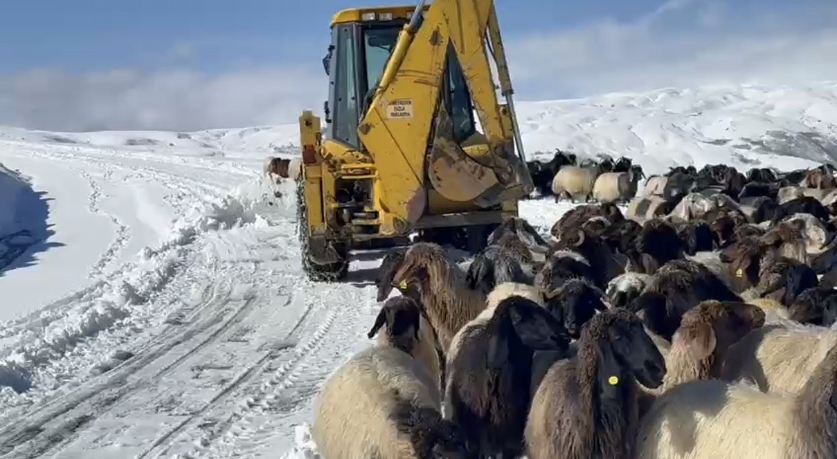YOĞUN KAR YAĞIŞI NEDENİYLE KAPANAN KÖY YOLLARINDA MAHSUR KALAN YAKLAŞIK 200 KOYUN VE 5 ARAÇ...
