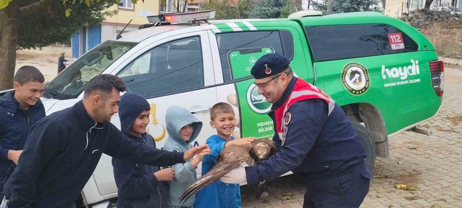 YOZGAT'IN SORGUN İLÇESİNDE BULUNAN YARALI KIZIL ŞAHİN KORUMA ALTINA ALINDI.