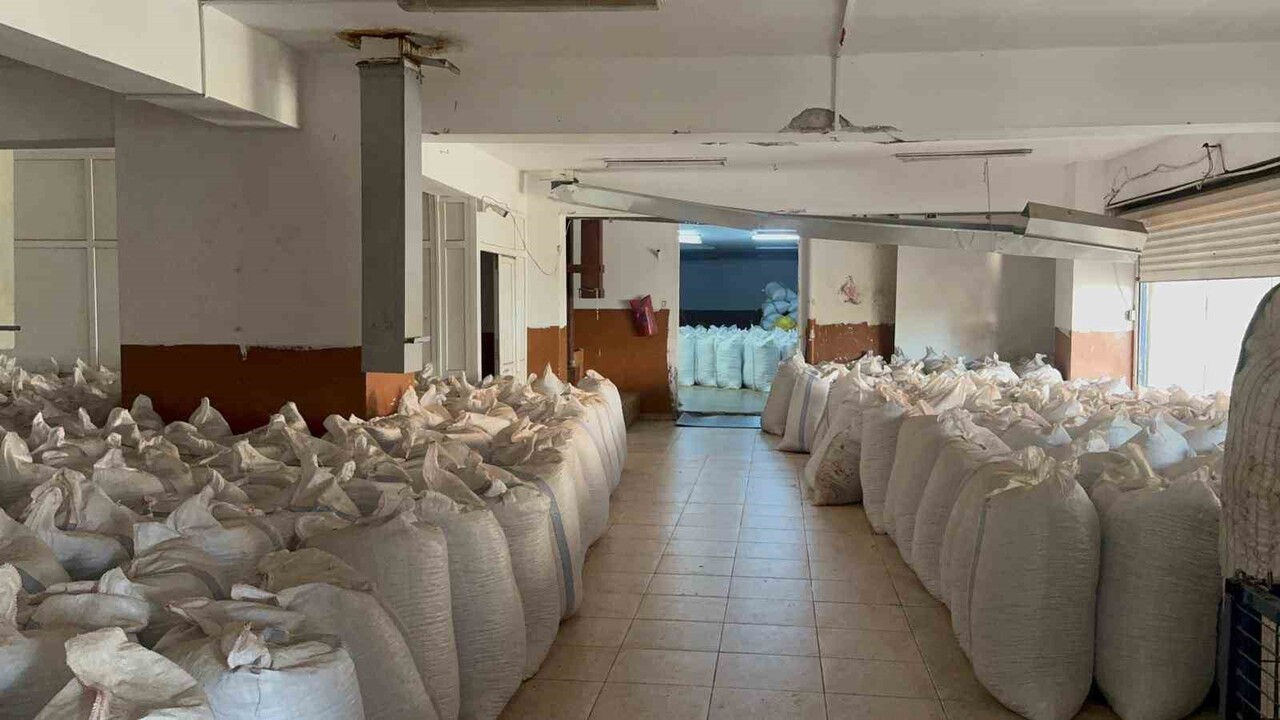 ZONGULDAK (İHA) - FINDIK FİYATLARI KASIM AYINDAN BU YANA YATAY SEYRETMEYE DEVAM EDERKEN, TÜCCARLAR...