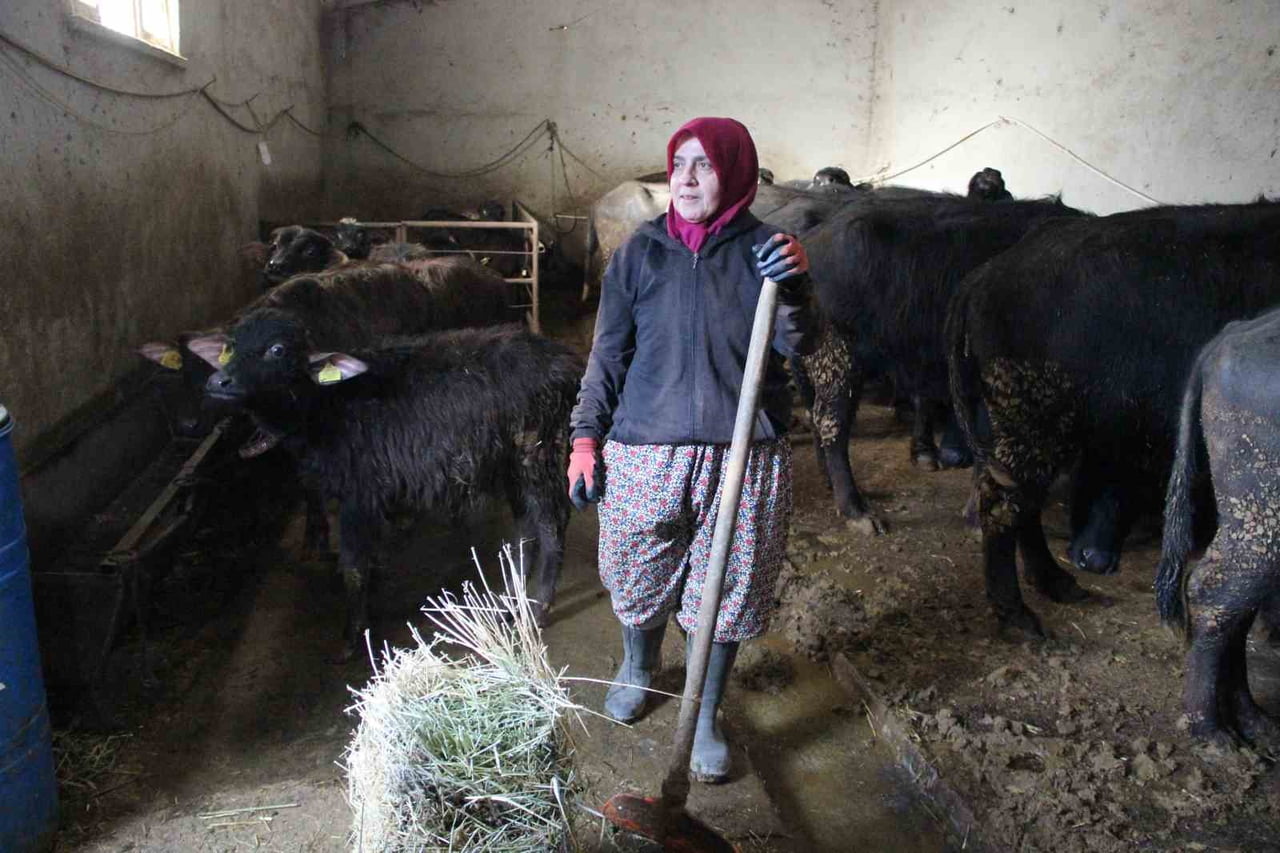 11 MANDAYLA ÜRETİME BAŞLAYAN VE ŞU AN YAKLAŞIK 100 HAYVANI BULUNAN KADIN GİRİŞİMCİ, TALEPLERE...