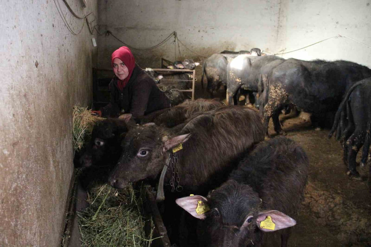 11 MANDAYLA ÜRETİME BAŞLAYAN VE ŞU AN YAKLAŞIK 100 HAYVANI BULUNAN KADIN GİRİŞİMCİ, TALEPLERE...
