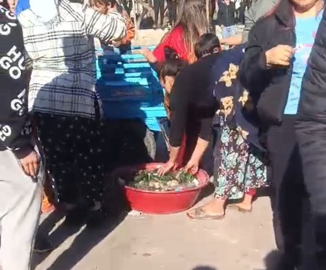 ADANA’DA "CONO" AŞİRETİ MENSUBU OLDUKLARI ÖNE SÜRÜLEN KOMŞULAR TAŞLI, ŞİŞELİ VE SOPALI KAVGA ETTİ....