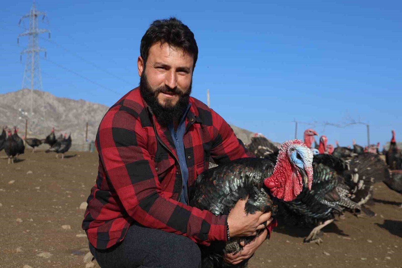 ALMANYA’DA 4 SENE KALAN MURAT VARAN, YATIRIMI ÜLKEME YAPACAĞIM DİYEREK MEMLEKETİNDE HİNDİ ÇİFTLİĞİ...