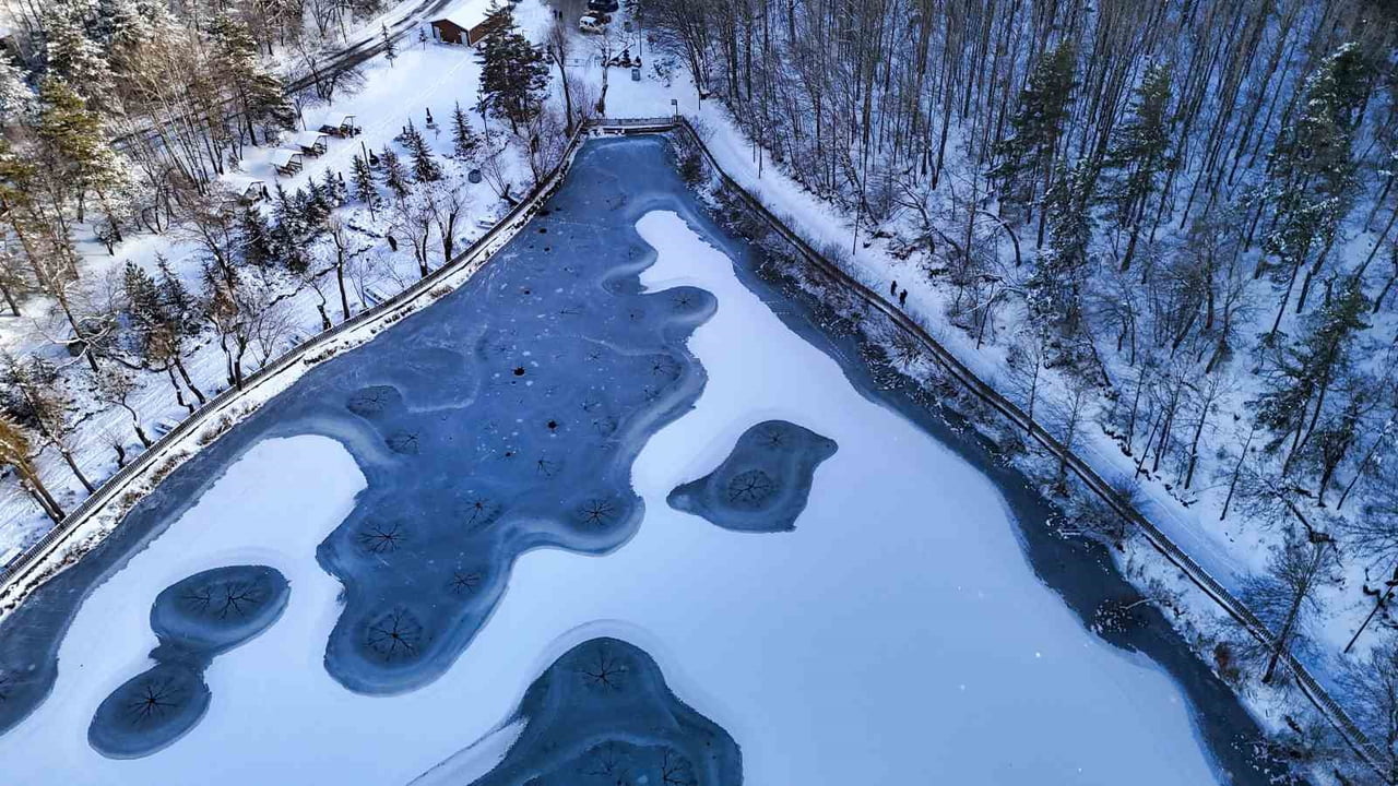 ANKARA'NIN ÇUBUK İLÇESİNDE BULUNAN KARAGÖL TABİAT PARKI MEVSİMİN İLK KAR YAĞIŞIYLA BEYAZA BÜRÜNDÜ...