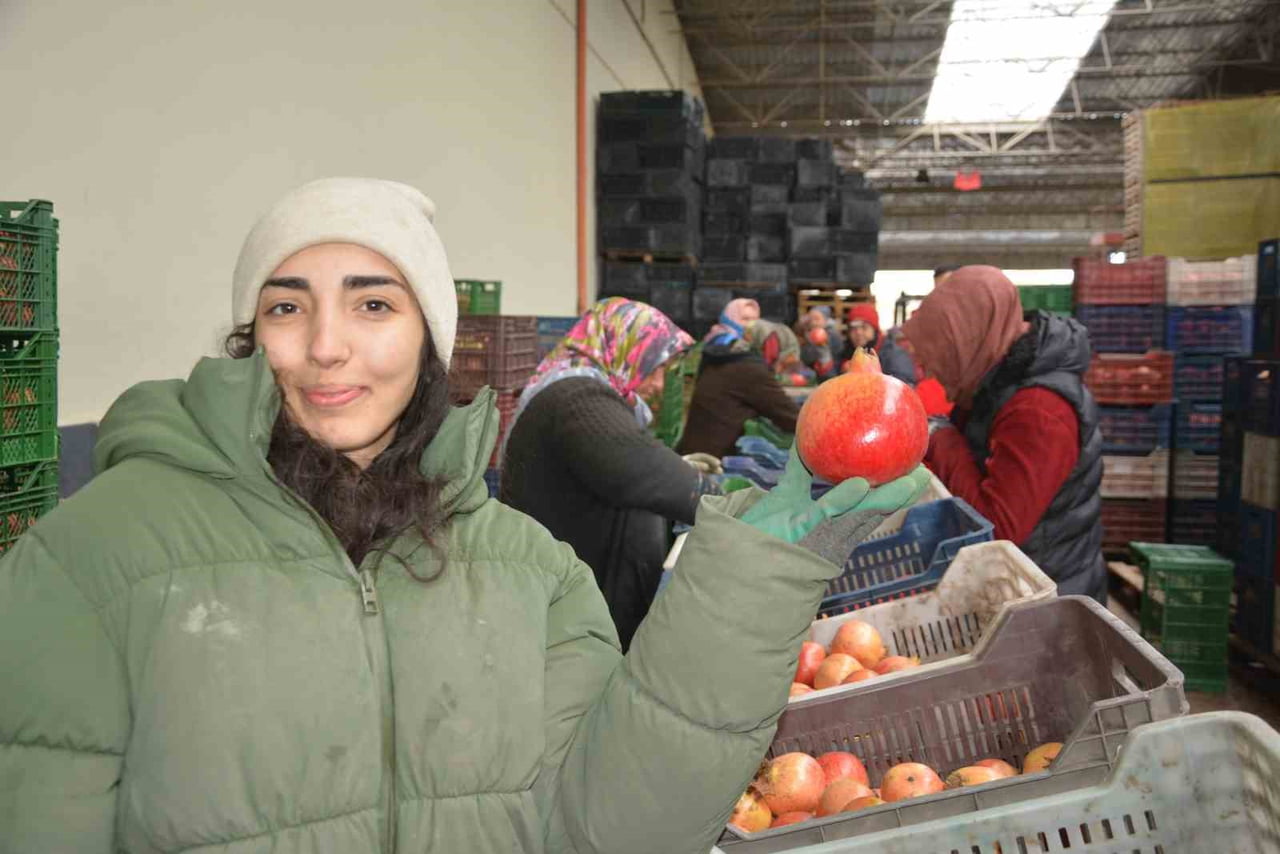 ANTALYA İLE ÇEVRE İLÇELERDE YETİŞTİRİLEN VE KORKUTELİ'NDEKİ SOĞUK HAVA DEPOLARINDA TOPLANAN NARIN...
