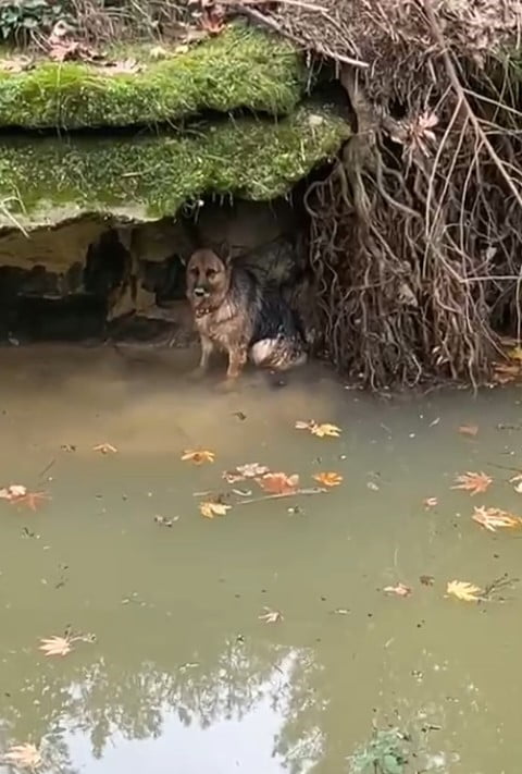 ANTALYA’NIN AKSU İLÇESİNE BAĞLI TOPALLI MAHALLESİ’NDE KURŞUNLU ŞELALESİ’NİN SU KAYNAĞINI BESLEYEN...