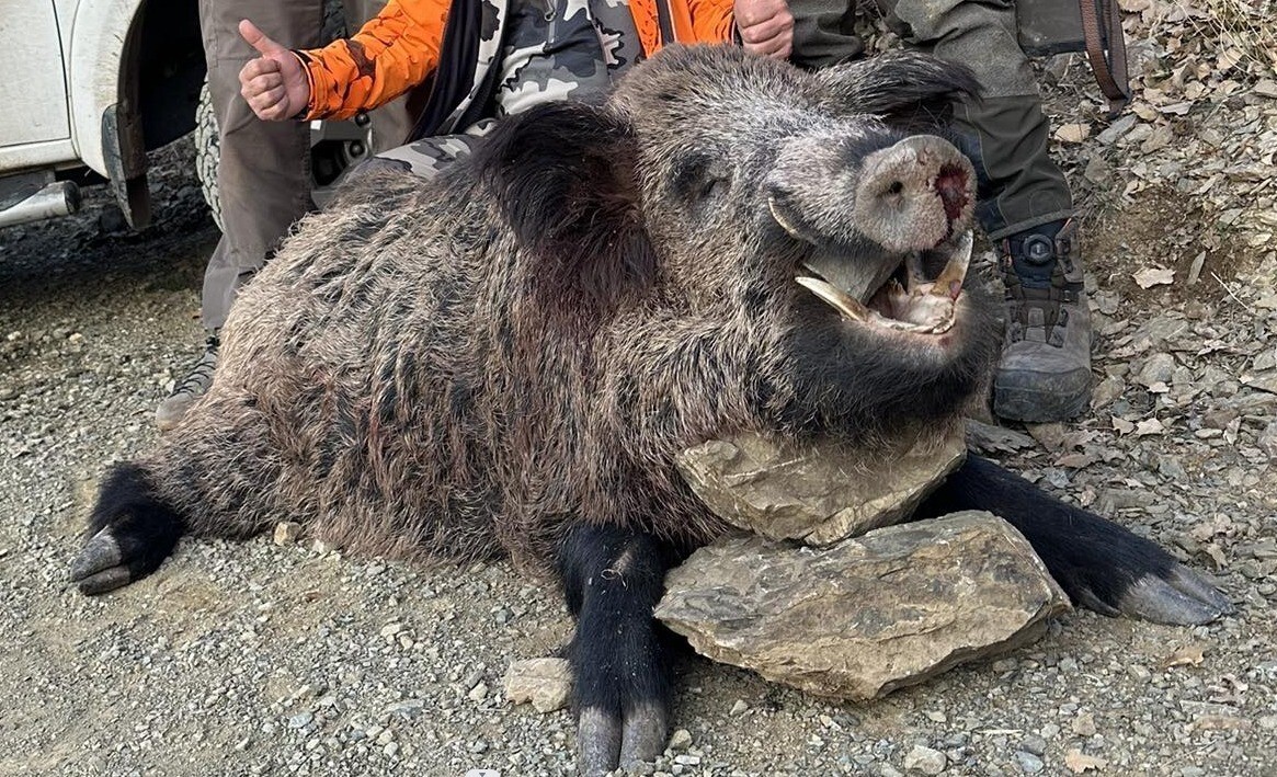 AV TURİZMİ KAPSAMINDA YURTDIŞINDAN GELEN YABANCI AVCILAR, ELAZIĞ’DA DAĞLIK ALANLARDA 200 KİLO...