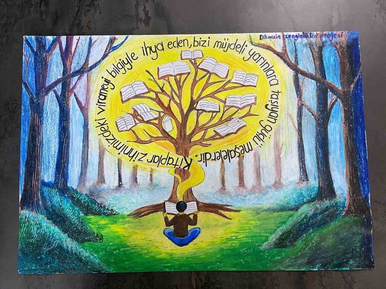 AYDIN'DA İLKOKUL VE ORTAOKULLAR ARASI DÜZENLENEN  "EN İYİ CÜMLE VE AFİŞ YARIŞMASI" SONUÇLANIRKEN...