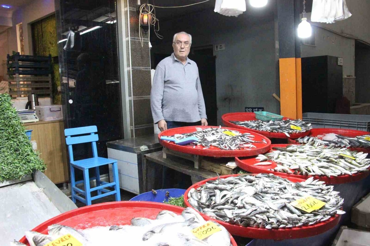 AYDIN'IN BOZDOĞAN İLÇESİNDE BALIKÇILIK YAPAN MEHMET BEKEM, TEZGAHLARINDA HAMSİ BAŞTA OLMAK ÜZERE...