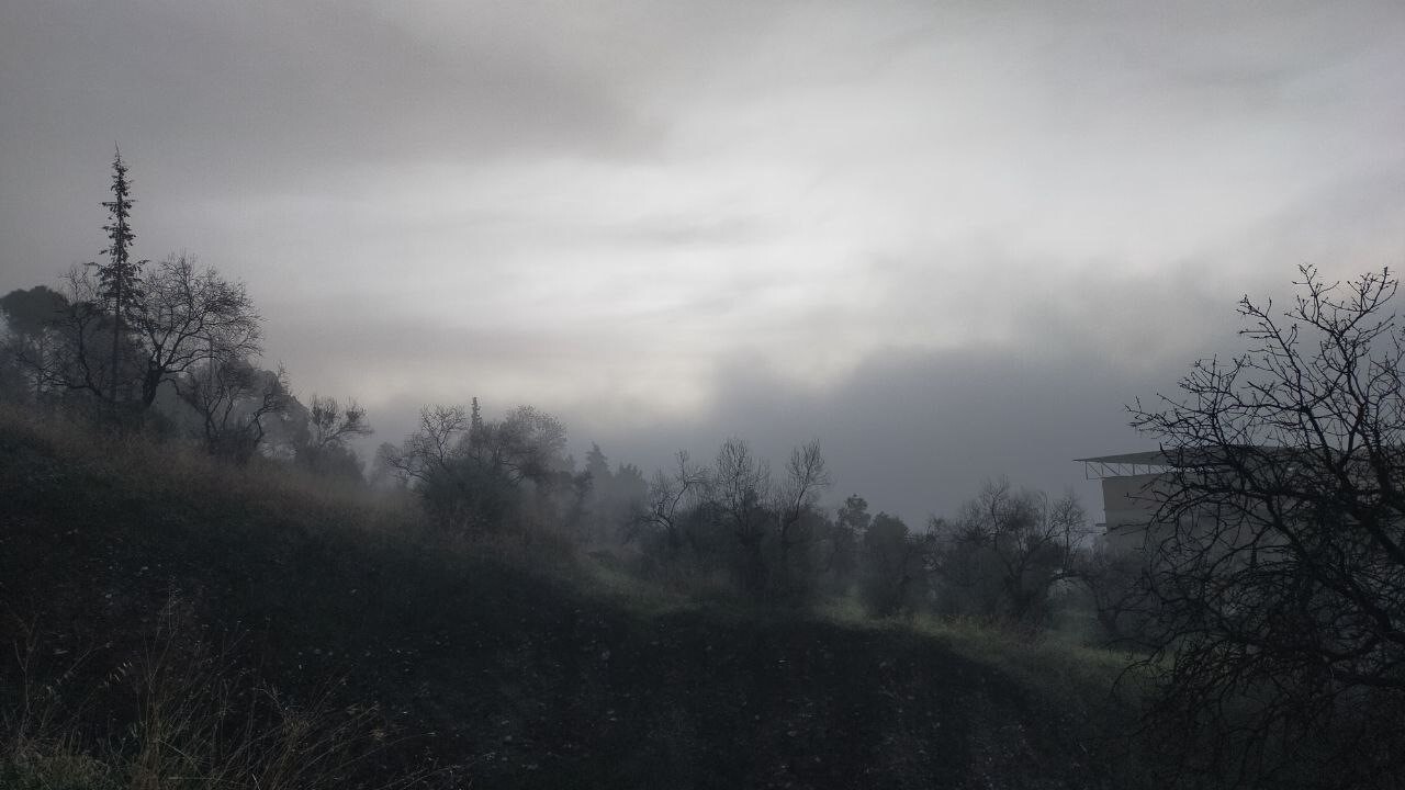 AYDIN’DA SABAHIN İLK IŞIKLARIYLA BİRLİKTE ETKİLİ OLAN YOĞUN SİS, KENTİ ADETA BEYAZ BİR ÖRTÜYLE...