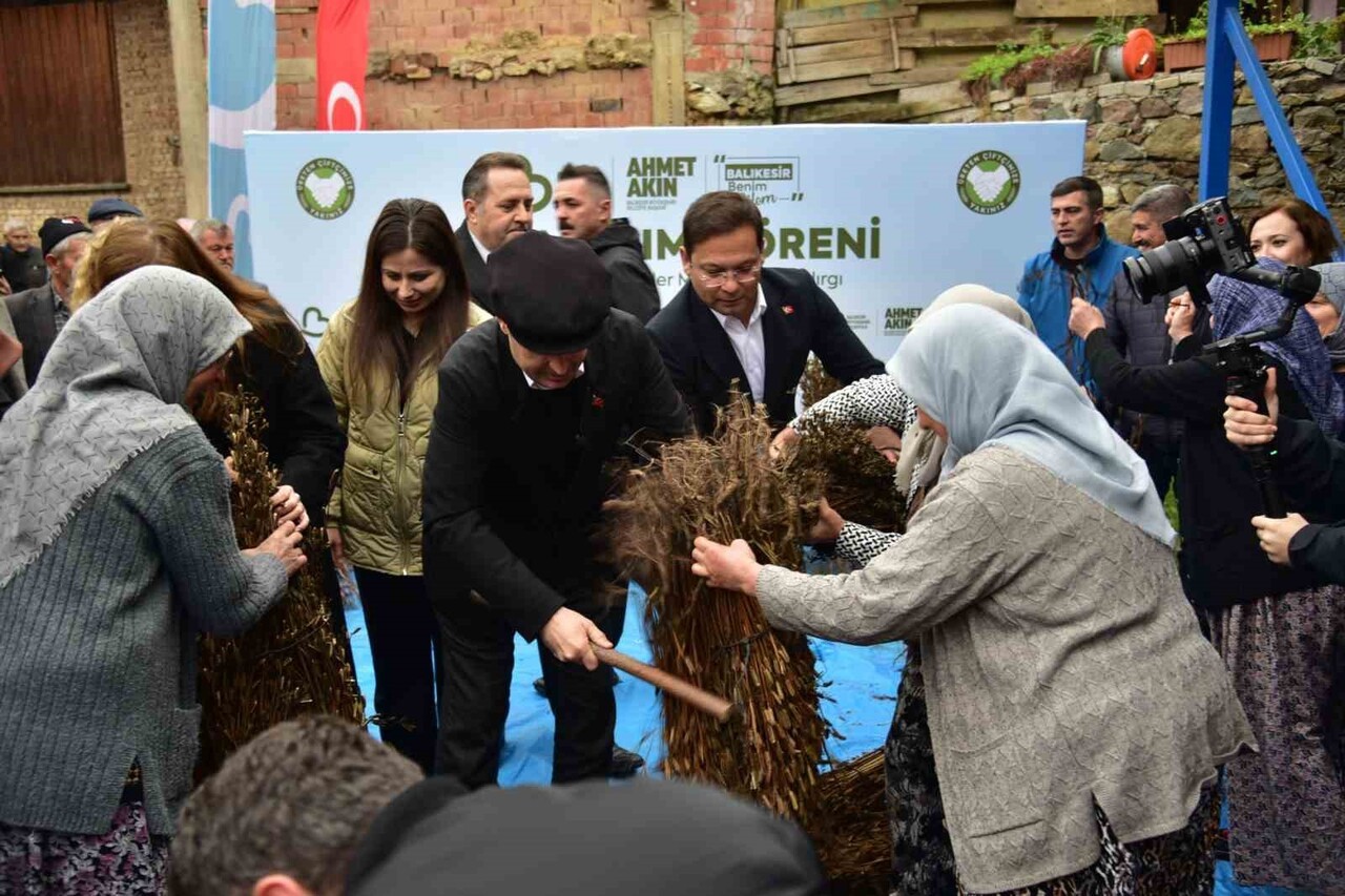 BALIKESİR BÜYÜKŞEHİR BELEDİYESİ, TARIMSAL ÜRETİMİ GÜÇLENDİRMEK AMACIYLA SINDIRGI İLÇESİNDE SUSAM...