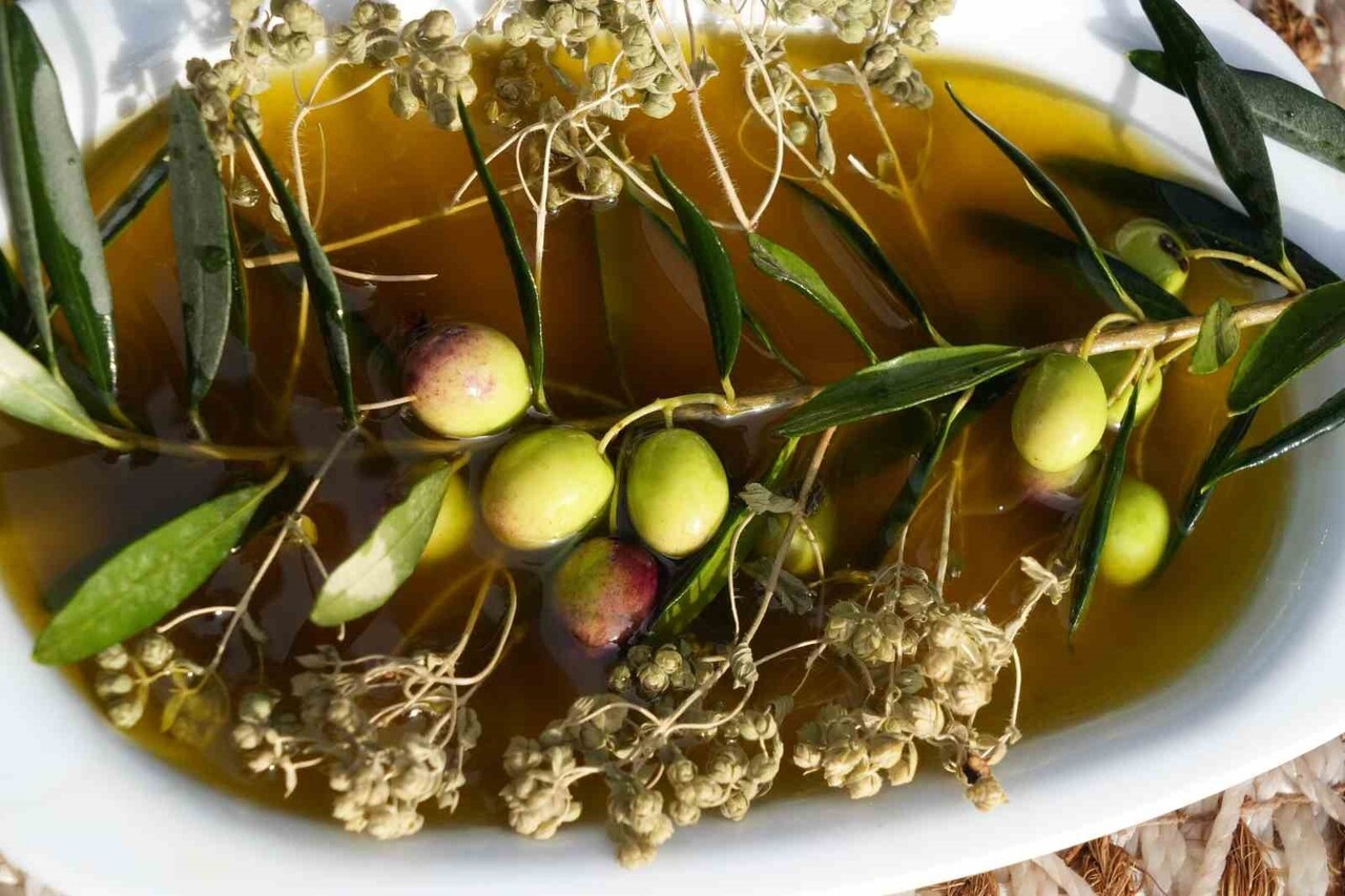 BALIKESİR’İN AYVALIK İLÇESİNDE ZEYTİN SEZONU TÜM HIZIYLA DEVAM EDERKEN, BÖLGENİN ŞİFA DEPOSU...