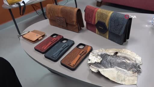 Balon balığı derisinden yaptığı aksesuarlar mahkemelik oldu