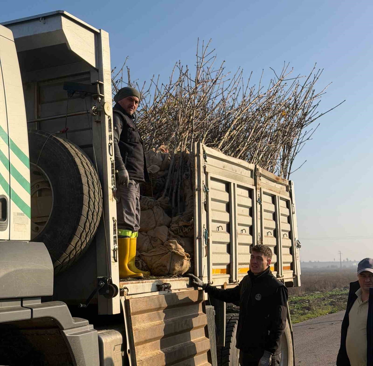 BANDIRMA’NIN 55’İNCİ KIRSAL MAHALLESİNDE 350 AĞAÇ TOPRAKLA BULUŞTU