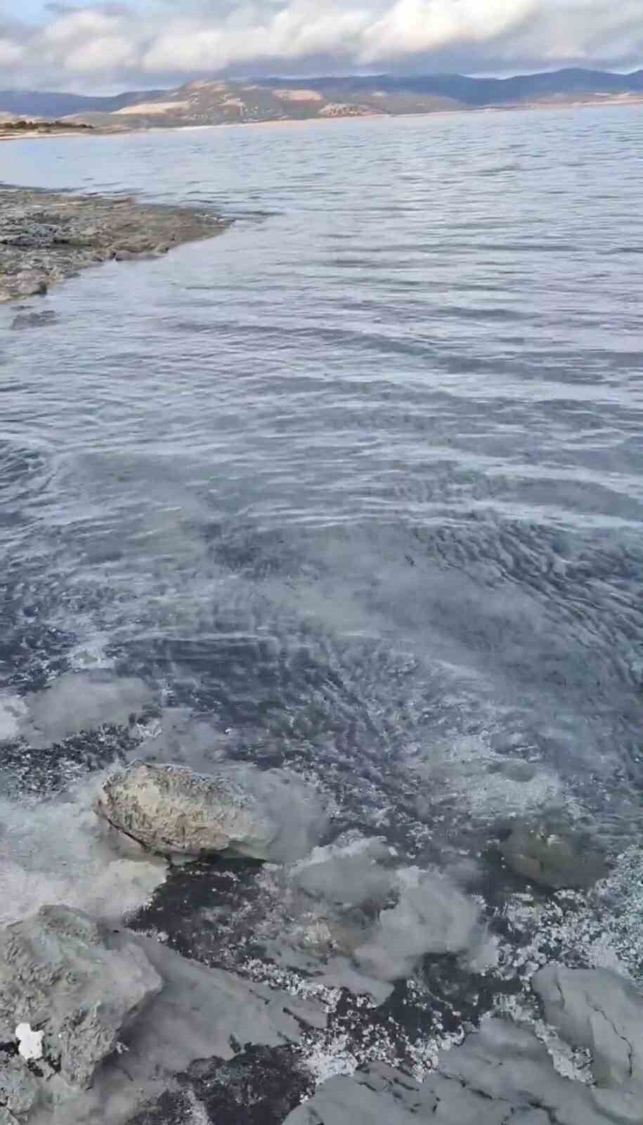 BANDIRMA ONYEDİ EYLÜL ÜNİVERSİTESİ DENİZCİLİK FAKÜLTESİ ÖĞRETİM ÜYESİ PROF. DR. MUSTAFA SARI...