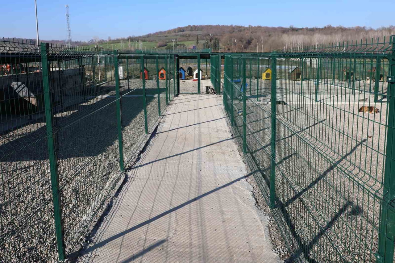 BARÜ’DE KAMPÜSTEKİ HAYVANLAR İÇİN YAŞAM MERKEZİ OLUŞTURULDU