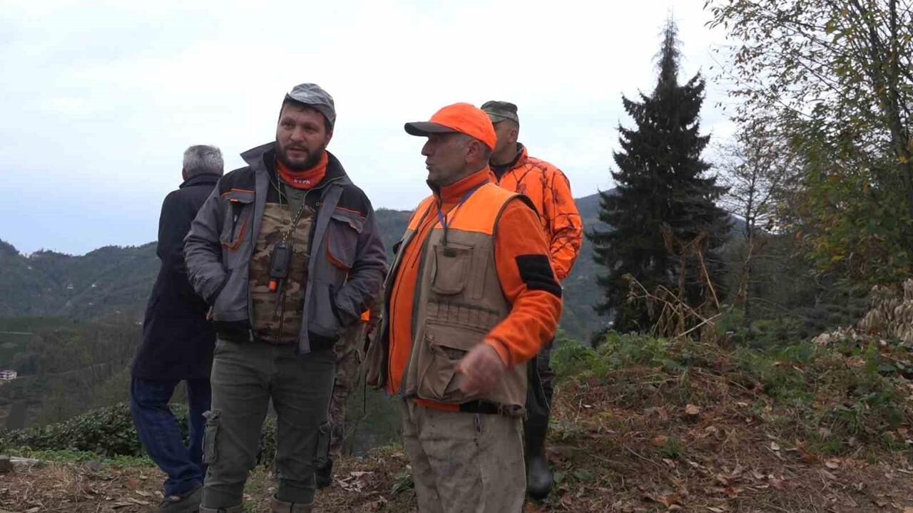 BAŞTA AYI OLMAK ÜZERE İNSANLARIN YAŞAM ALANLARINA GİREREK ÖZELLİKLE ÇİFTÇİLERİ DAHA ÇOK MAĞDUR...