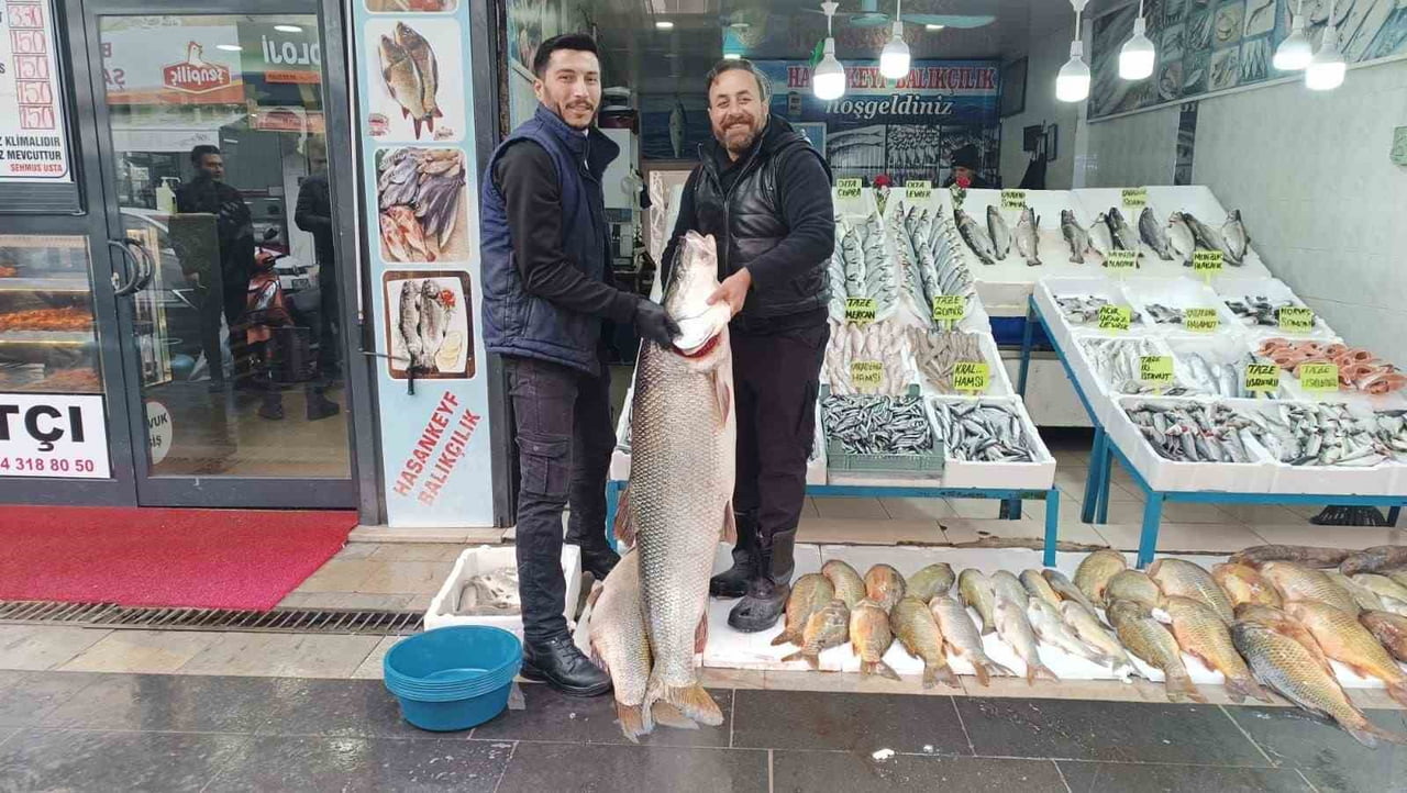 BATMAN’DA DEV TURNA BALIĞI İLGİ ODAĞI OLDU