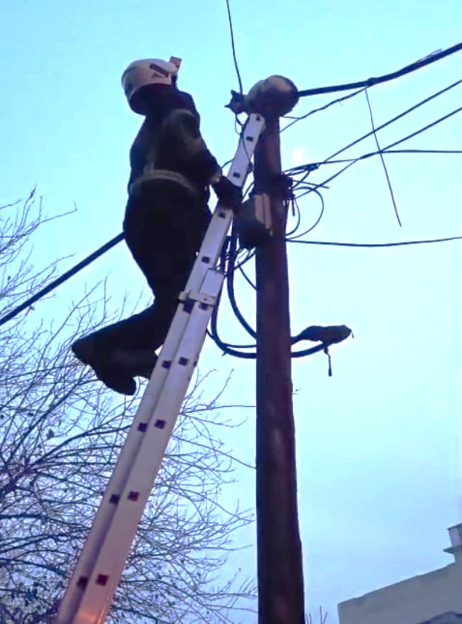 BATMAN’DA DİREKTE MAHSUR KALAN KEDİ İTFAİYE TARAFINDAN İNDİRİLDİ