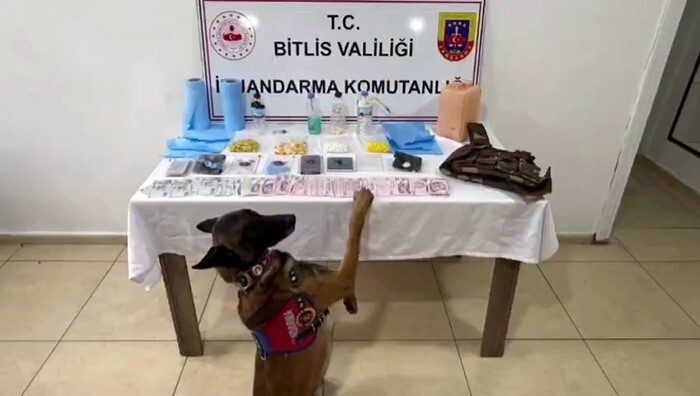 BİTLİS İL JANDARMA KOMUTANLIĞI EKİPLERİNCE TATVAN VE GÜROYMAK İLÇELERİNDE EŞ ZAMANLI DÜZENLENEN...
