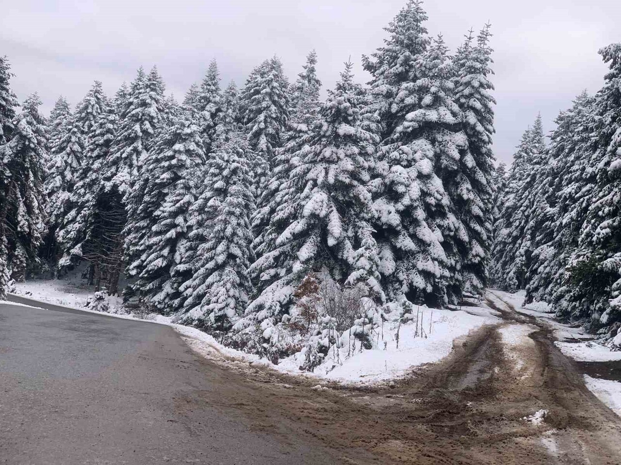 BOLU’NUN GEREDE İLÇESİNDE BULUNAN ARKUT DAĞI’NDA DÜN GECE ETKİLİ OLAN KAR YAĞIŞI SEBEBİYLE YEŞİL...