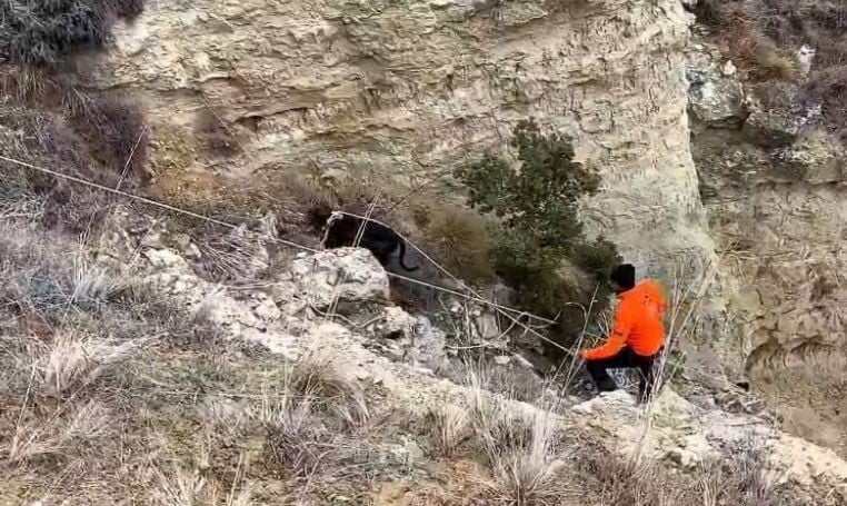 BURDUR'DA UÇURUMA DÜŞEN AV KÖPEĞİ İÇİN ZAMANLA YARIŞAN AVCILAR KENDİ İMKANLARI İLE METRELERCE...