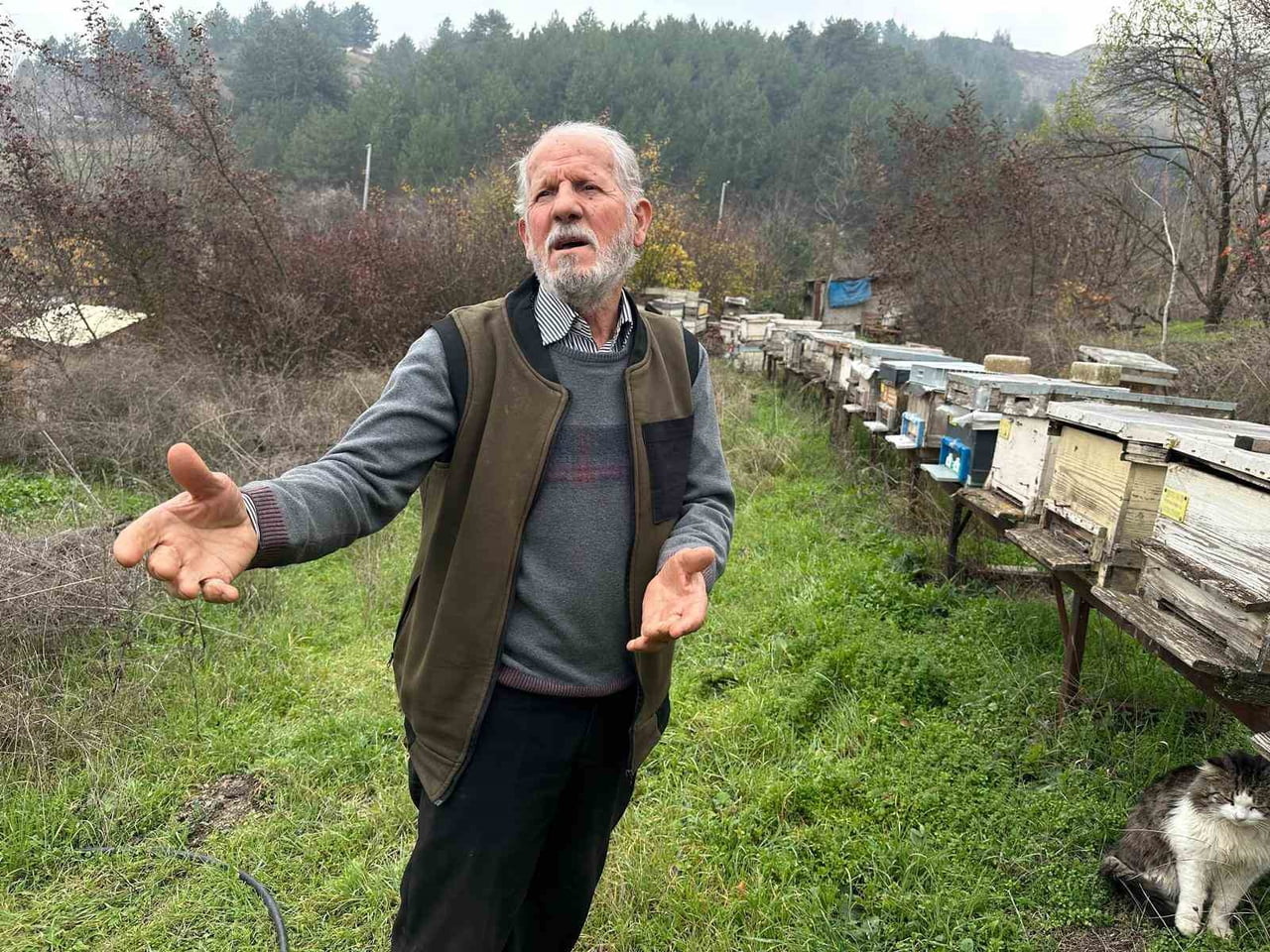 BURSA'NIN İNEGÖL İLÇESİNDE PROFESYONEL OLARAK ARICILIK YAPAN 75 YAŞINDAKİ ZEYNULLAH SOYLU, ZİRAİ...